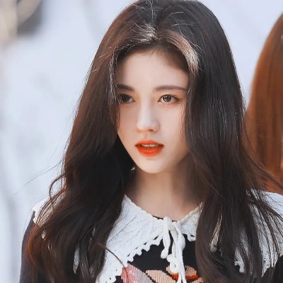 小鼠朋友